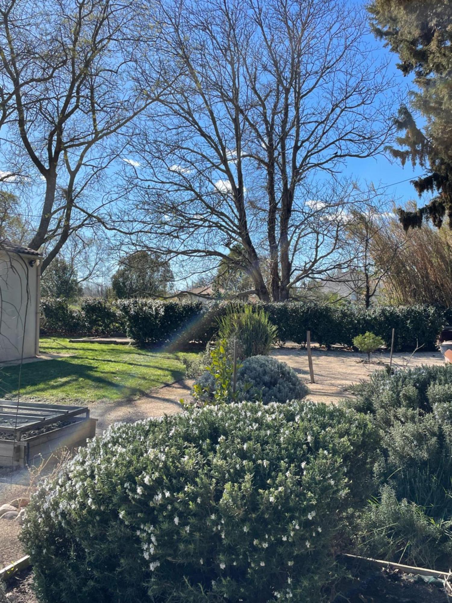 Arles Campagne Location "La Campagn'Arles" Bed & Breakfast Exterior photo